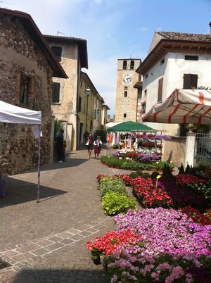 monzambano castellaro festa dei fiori agrituruismi lago di garda