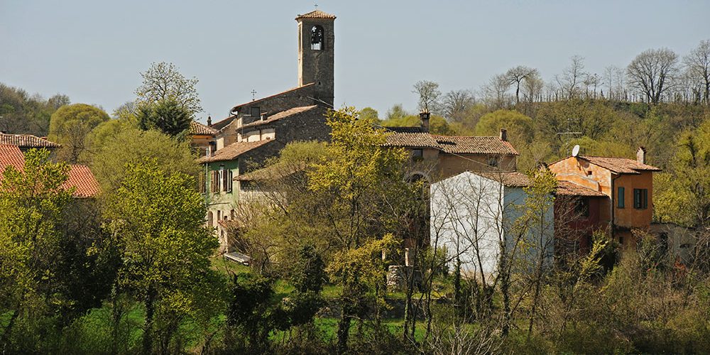 olfino-da-dietro