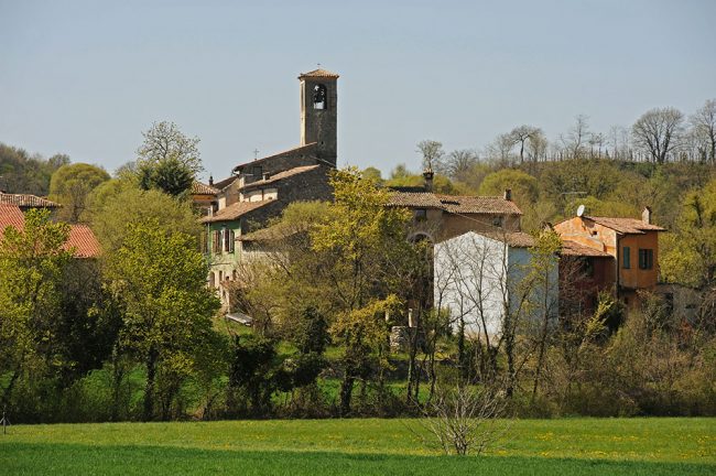 olfino-da-dietro