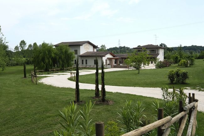 corte-di-tosina2-1