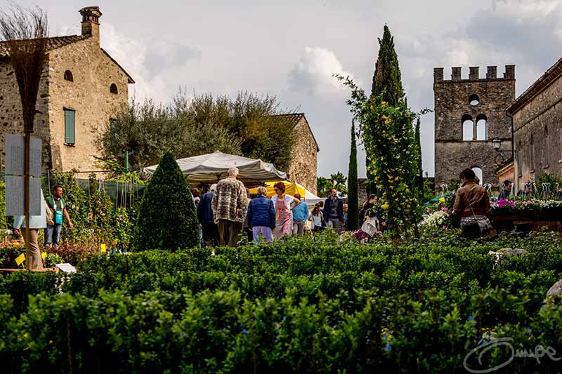 ristorante lago di garda