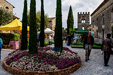 ristorante lago di garda