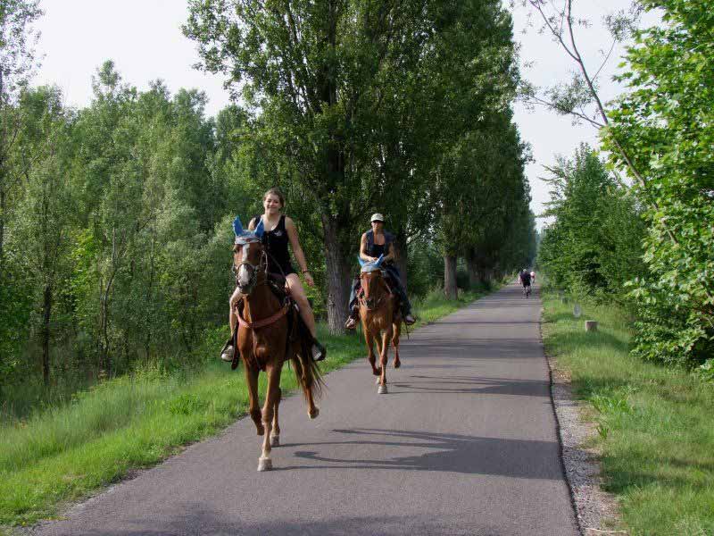 ciclabile mantova peschiera